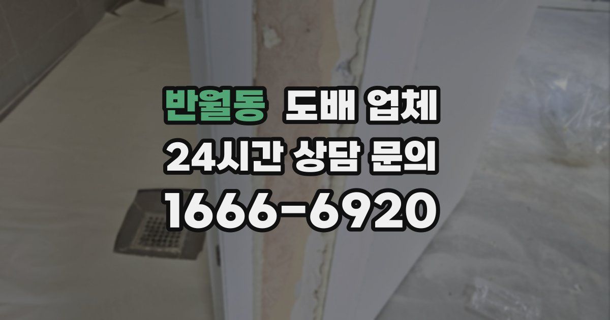 반월동 도배 업체