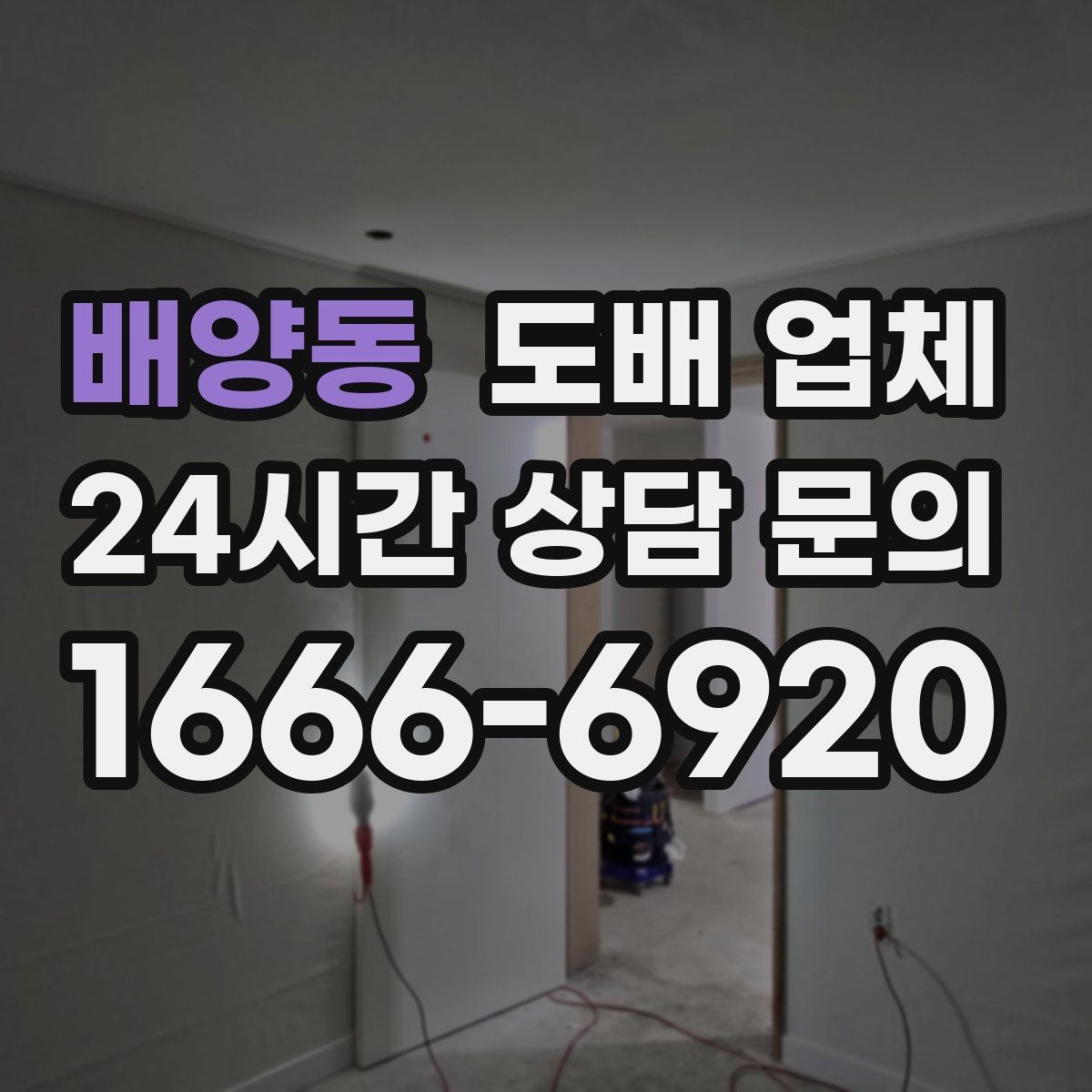 배양동 도배 업체 부실 시공을 피하려면 무엇을 볼까