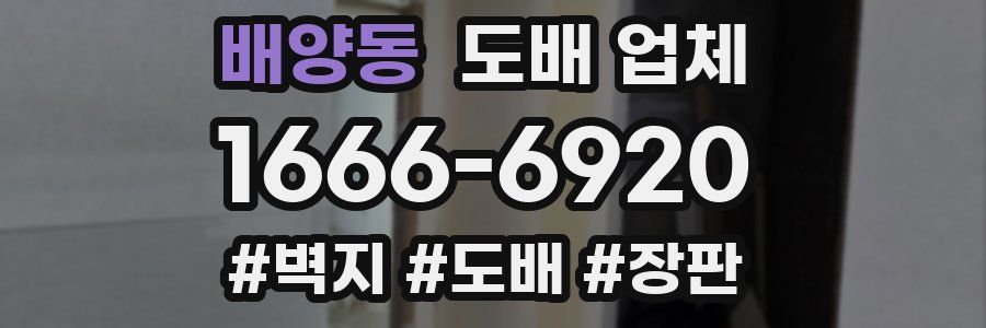 배양동 도배 업체