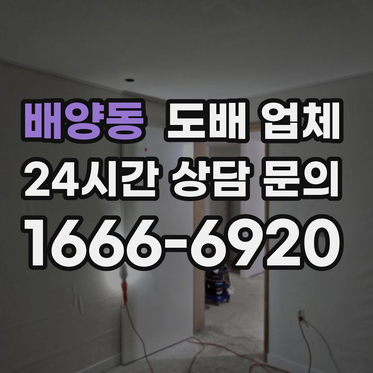 배양동 도배 업체