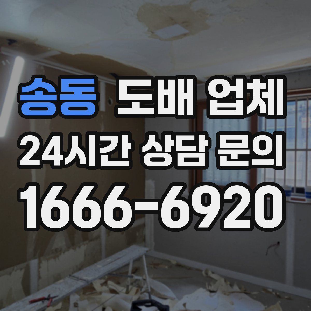 송동 도배 업체