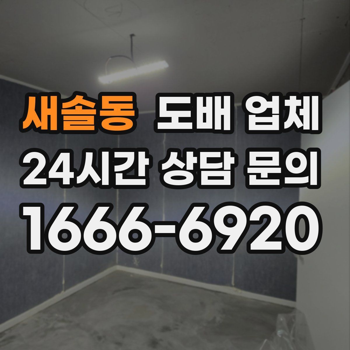 새솔동 도배 업체