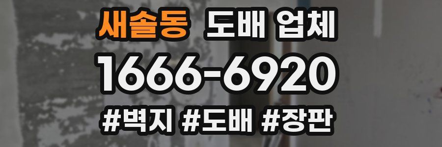 새솔동 도배 업체