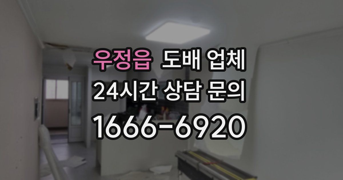 우정읍 도배 업체