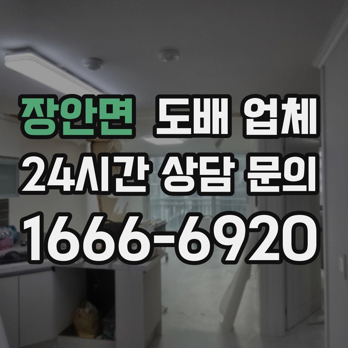 장안면 도배 업체
