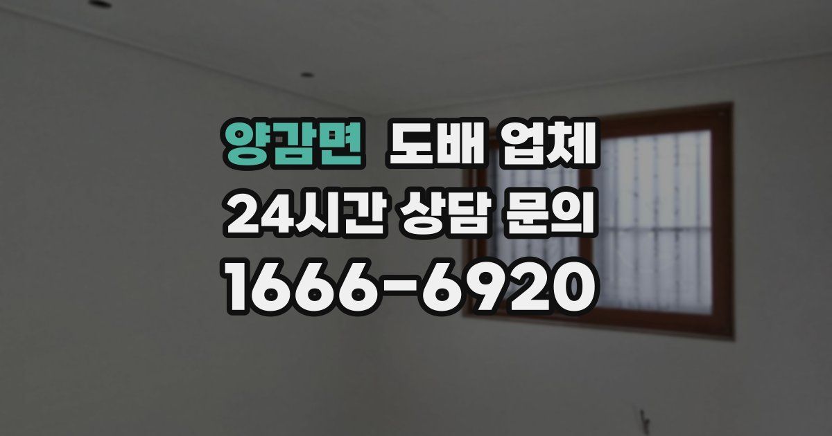 양감면 도배 업체
