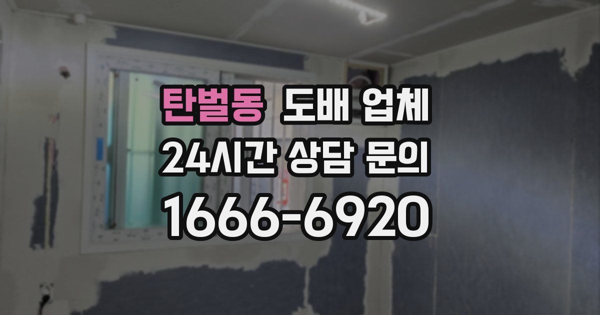 탄벌동 도배 업체
