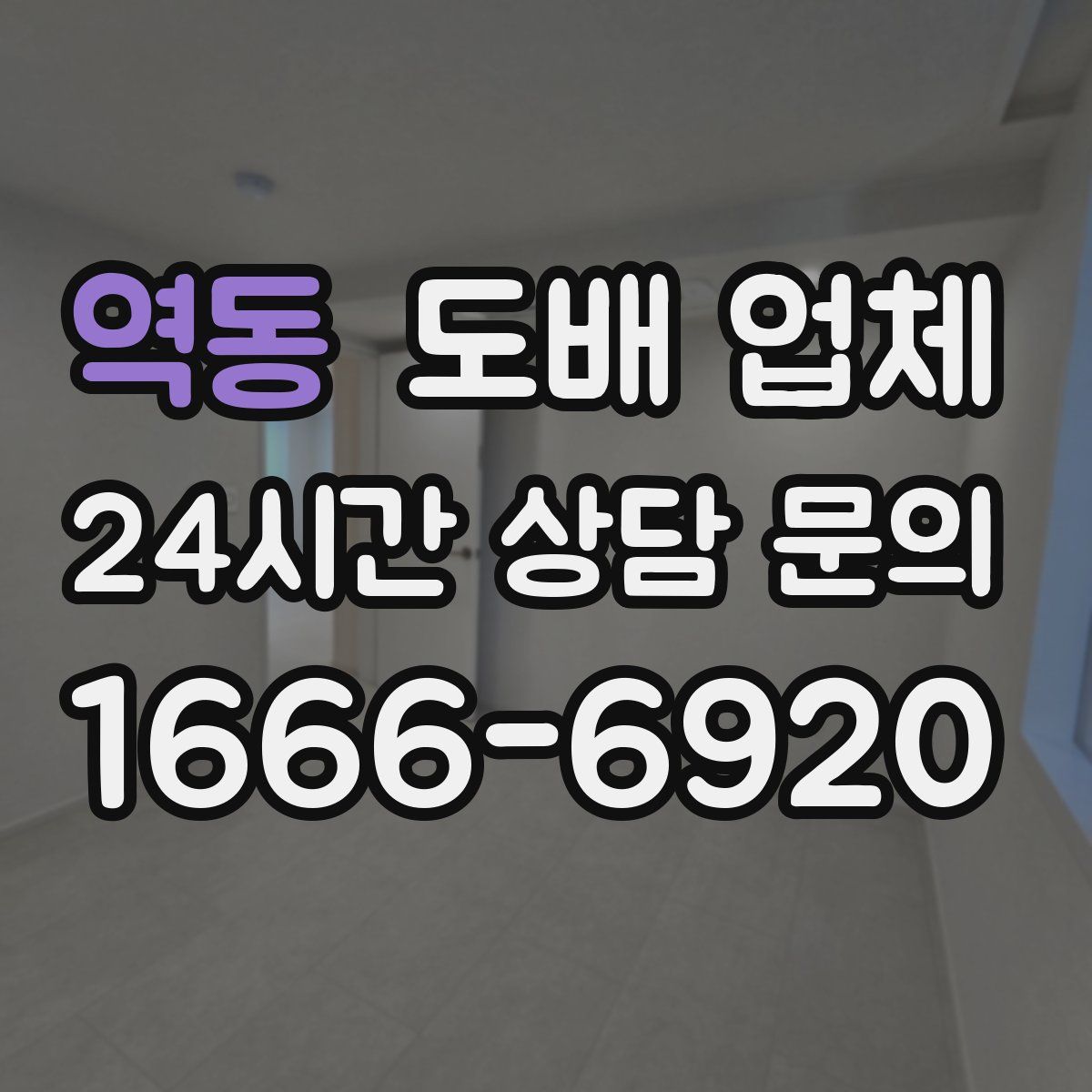 역동 도배 업체