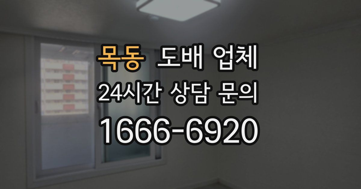 목동 도배 업체