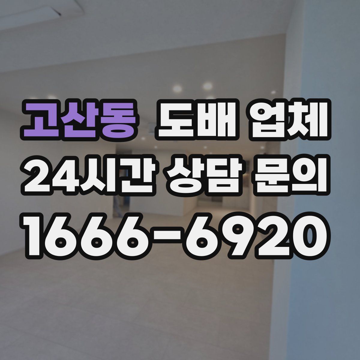 고산동 도배 업체