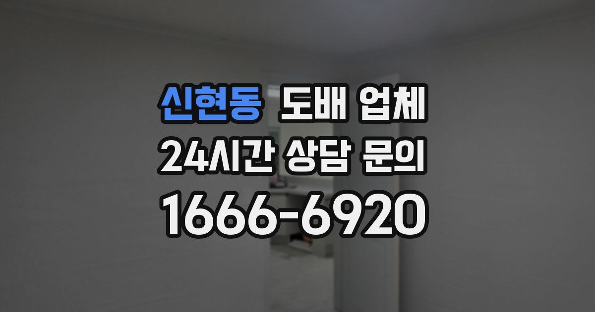 신현동 도배 업체