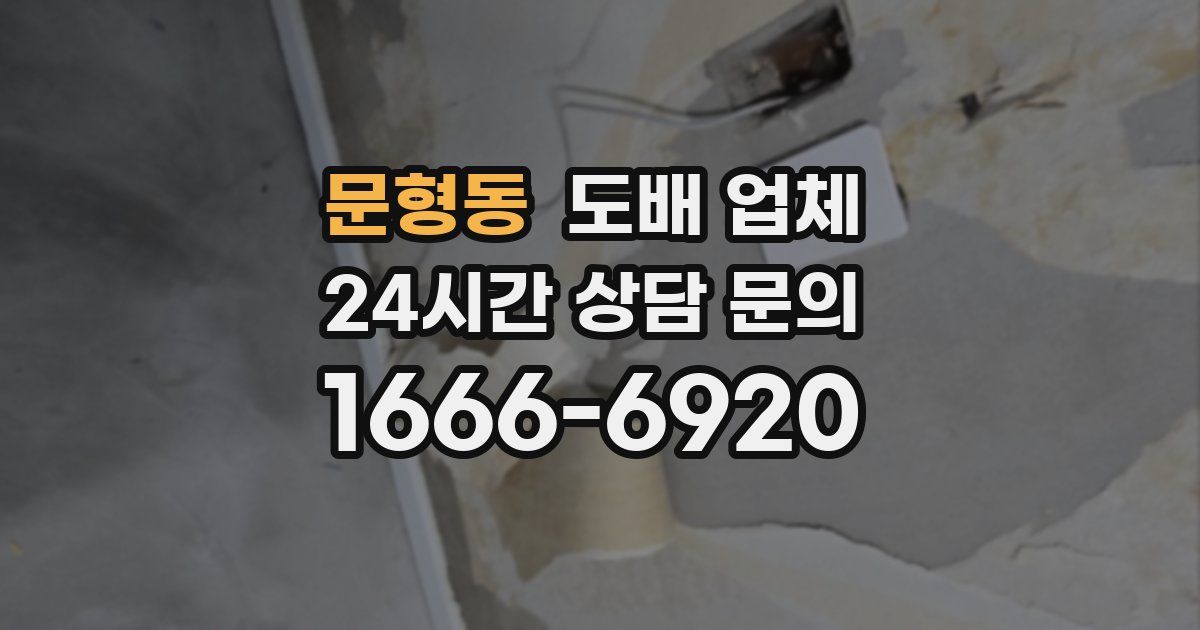 문형동 도배 업체