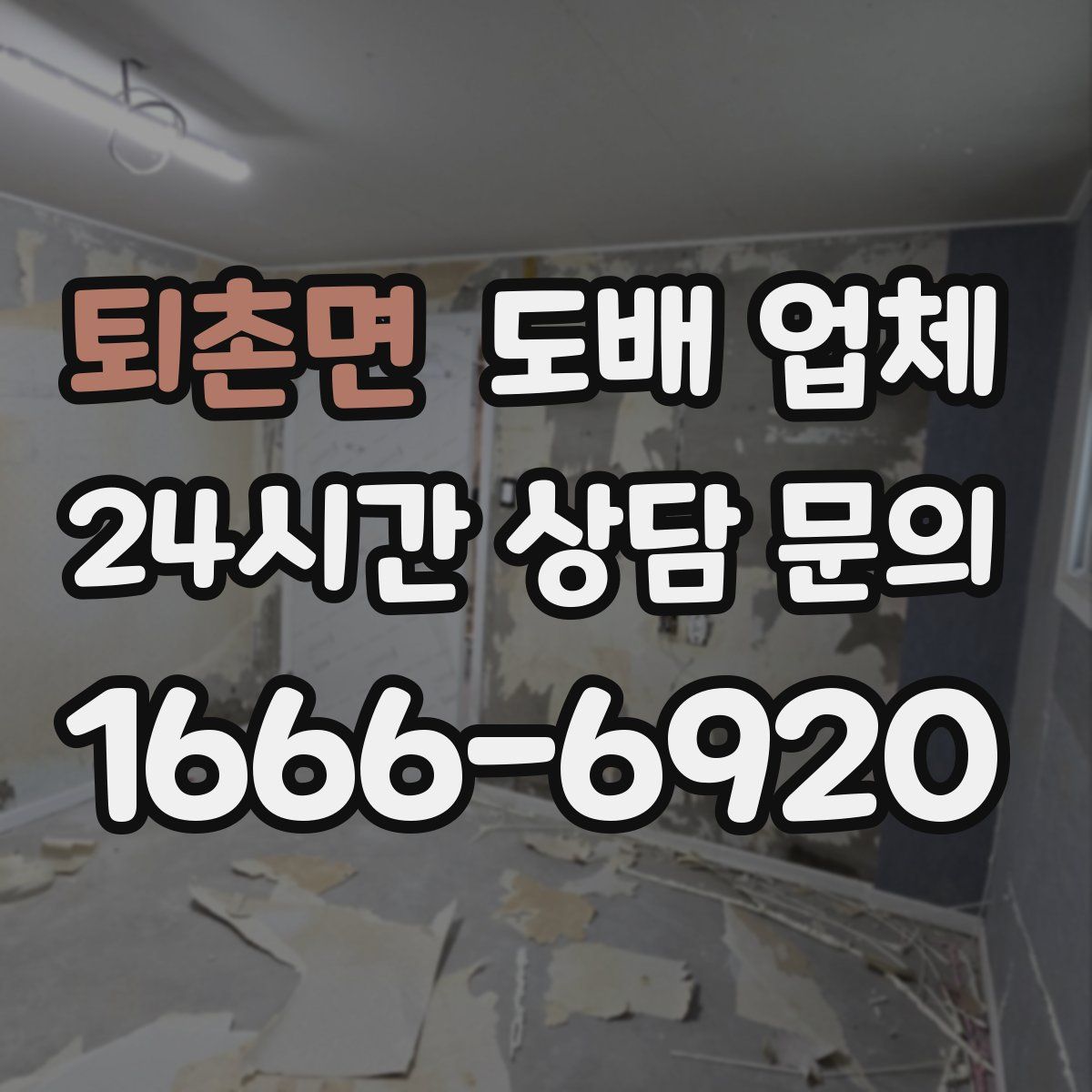 퇴촌면 도배 업체