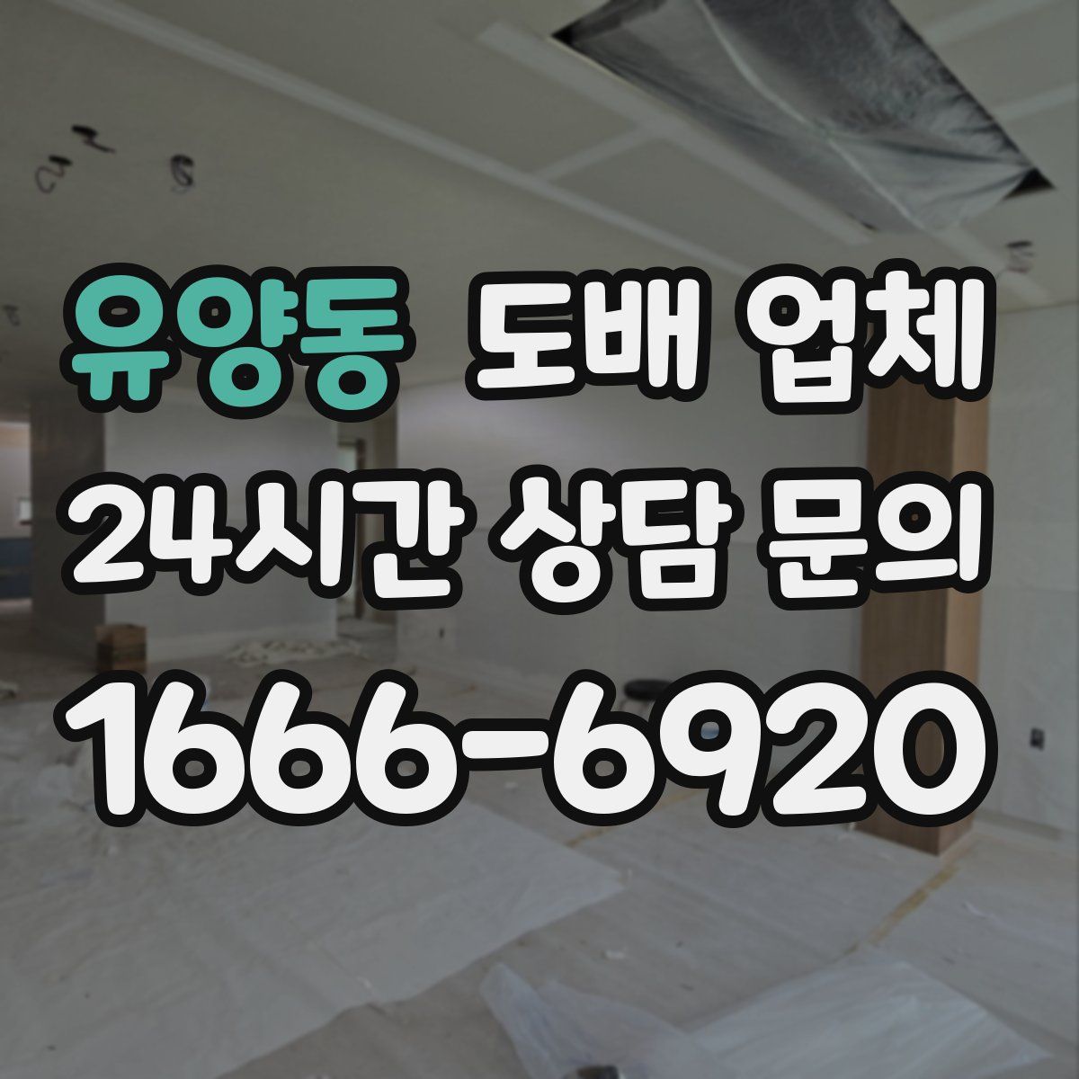 유양동 도배 업체