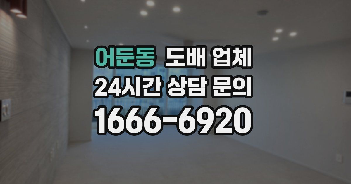 어둔동 도배 업체