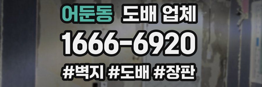 어둔동 도배 업체