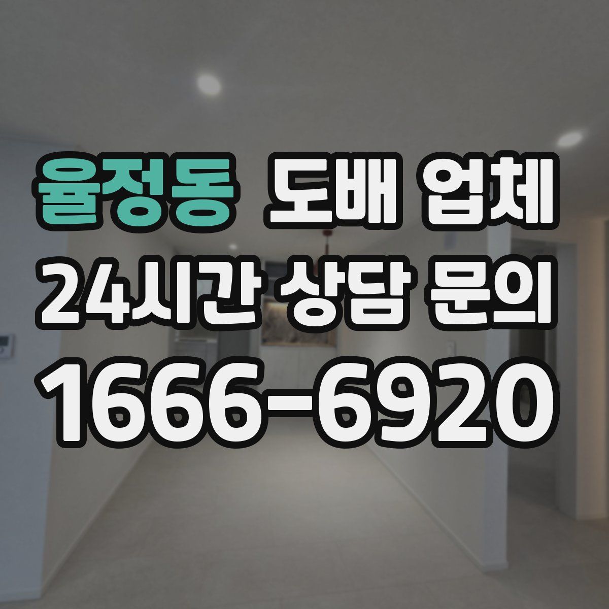 율정동 도배 업체