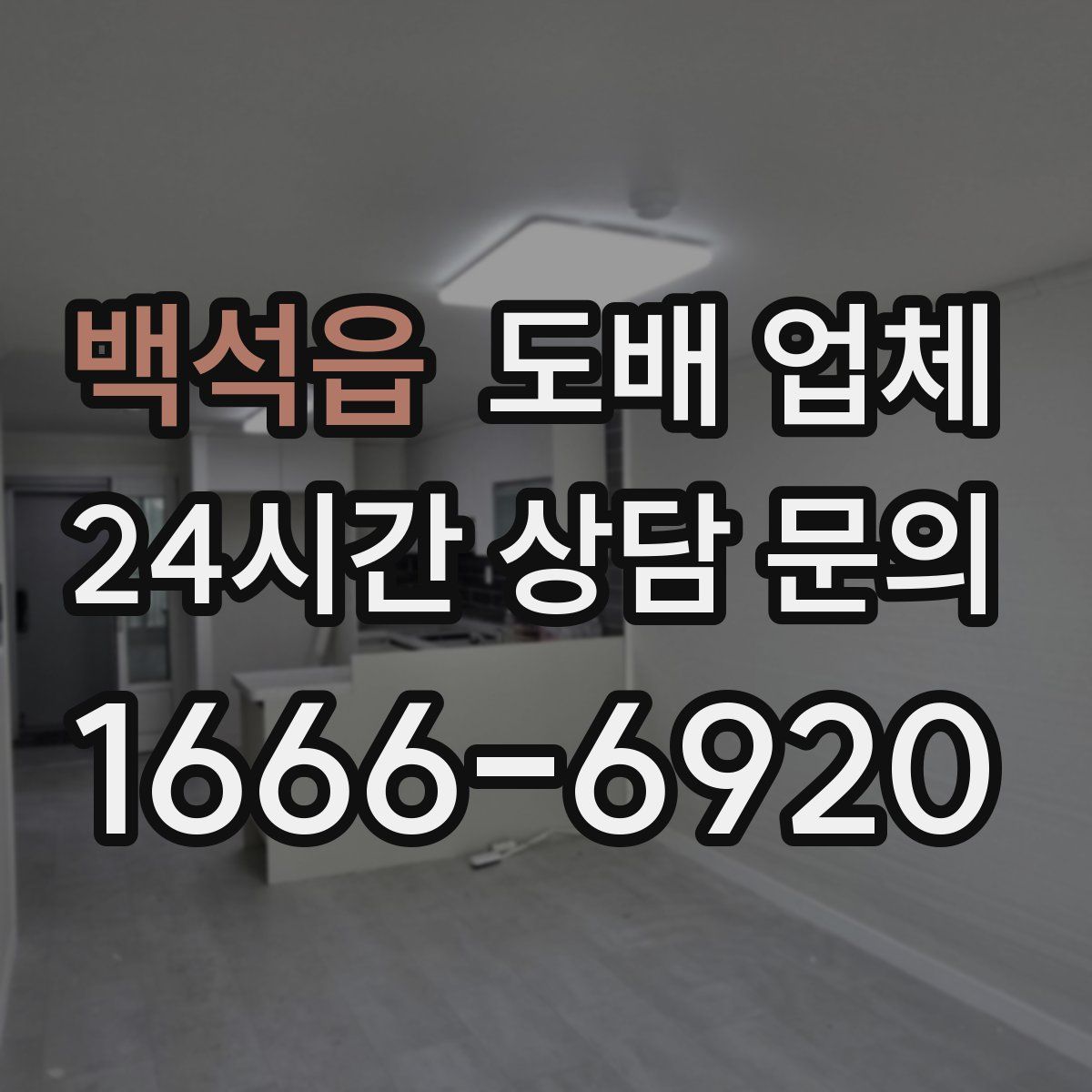 백석읍 도배 업체