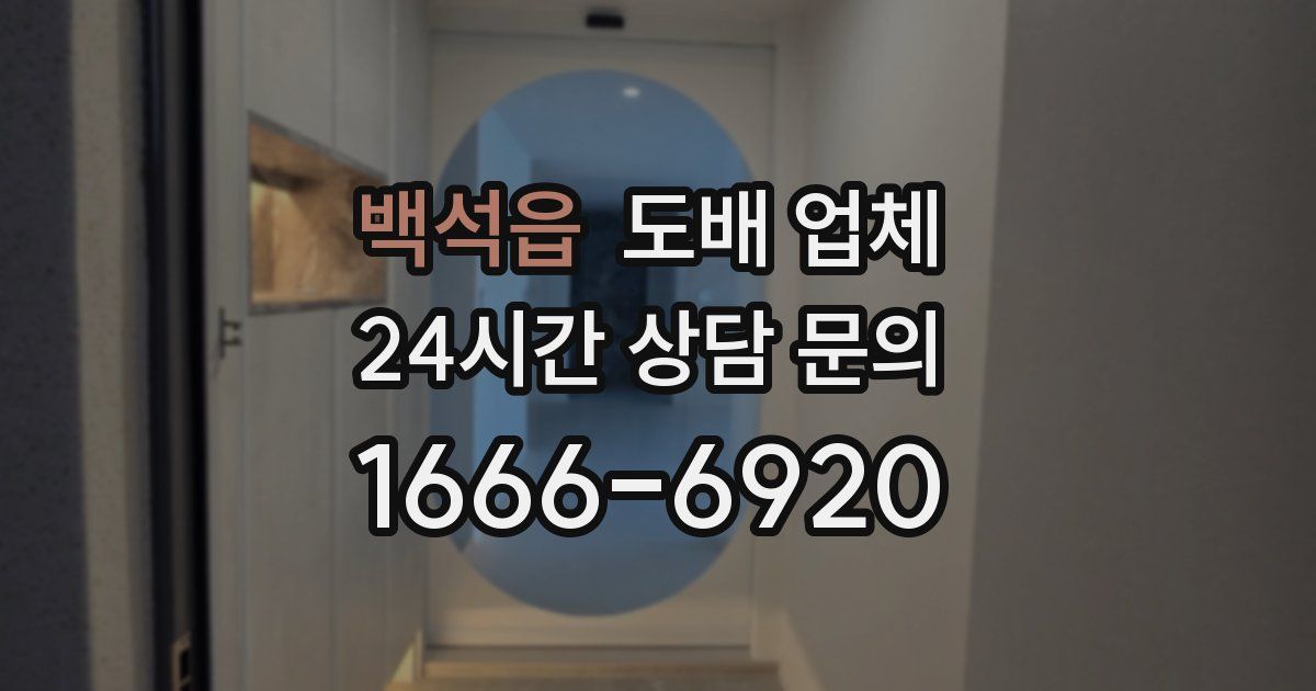 백석읍 도배 업체