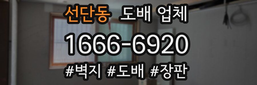 선단동 도배 업체