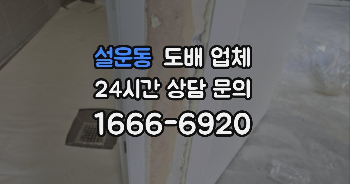 설운동 도배 업체