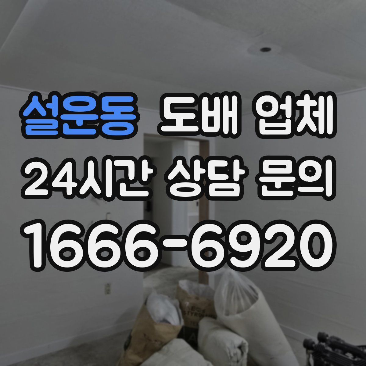 설운동 도배 업체