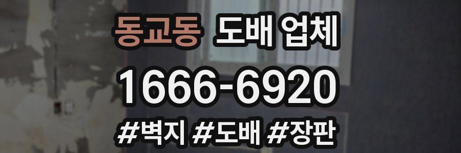 동교동 도배 업체