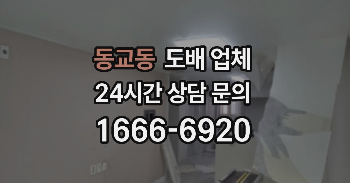 동교동 도배 업체