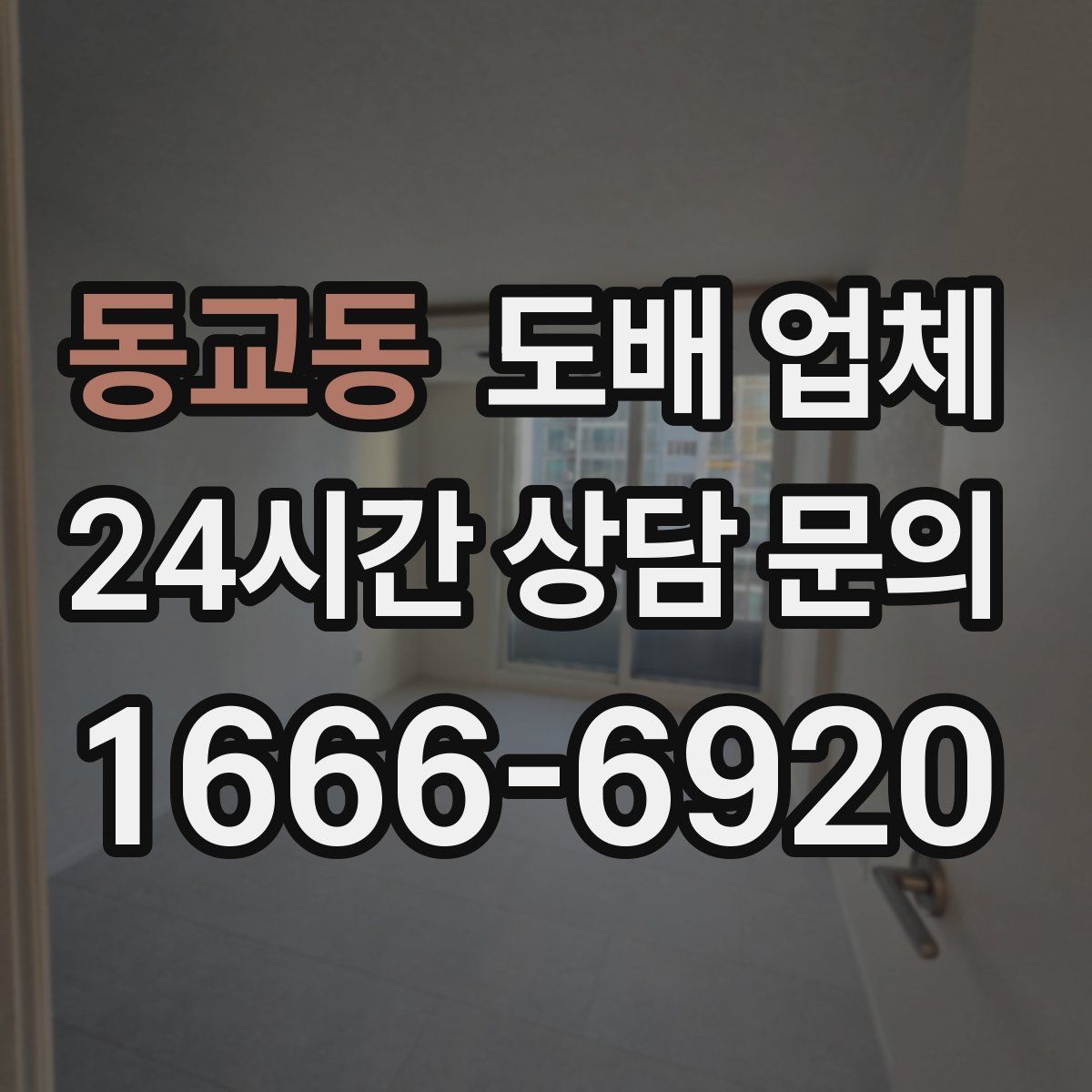 동교동 도배 업체