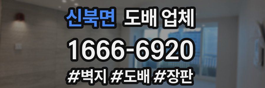 신북면 도배 업체