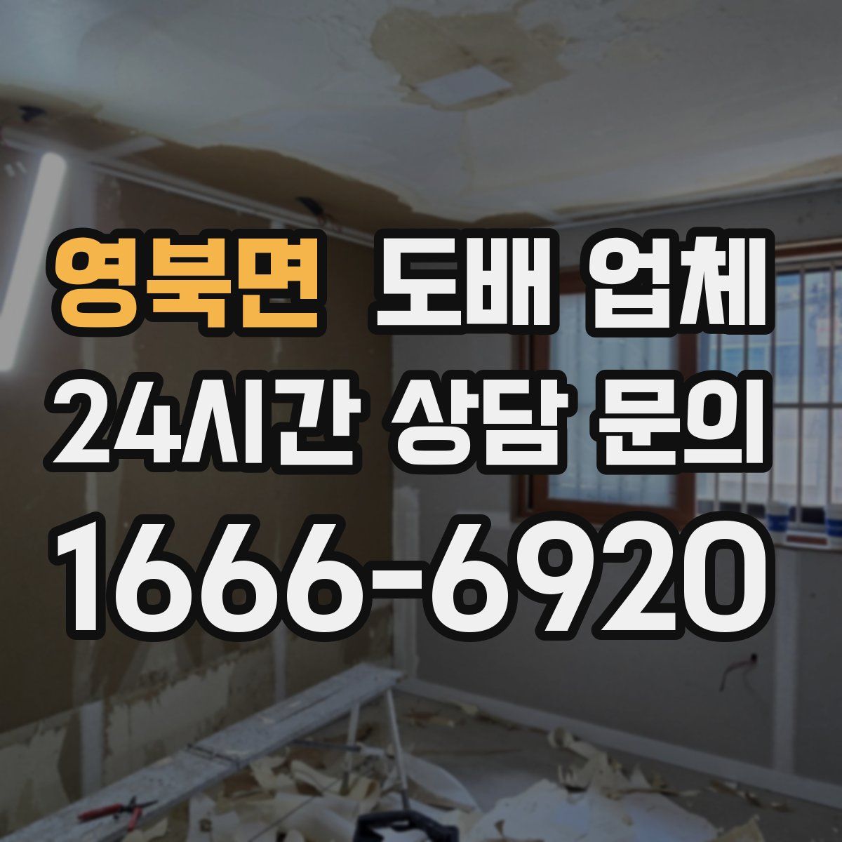 영북면 도배 업체
