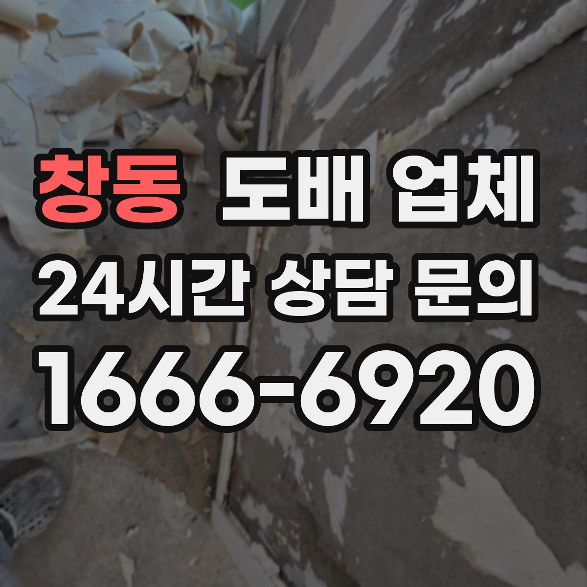 창동 도배 업체 일정 잡을 때 고려할 사항