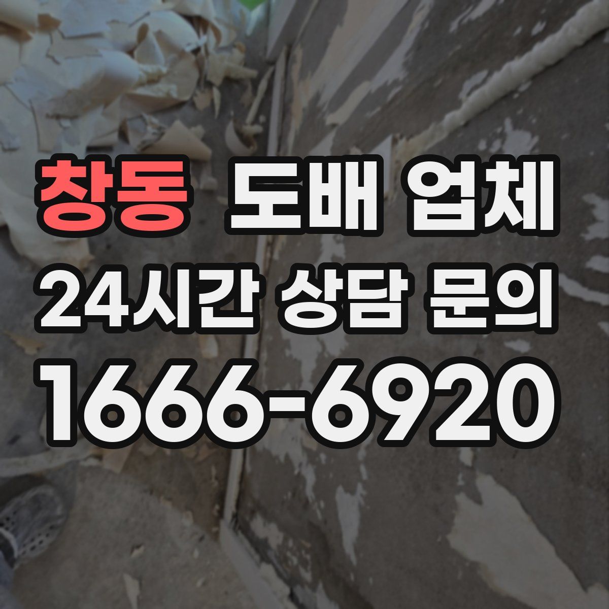 창동 도배 업체