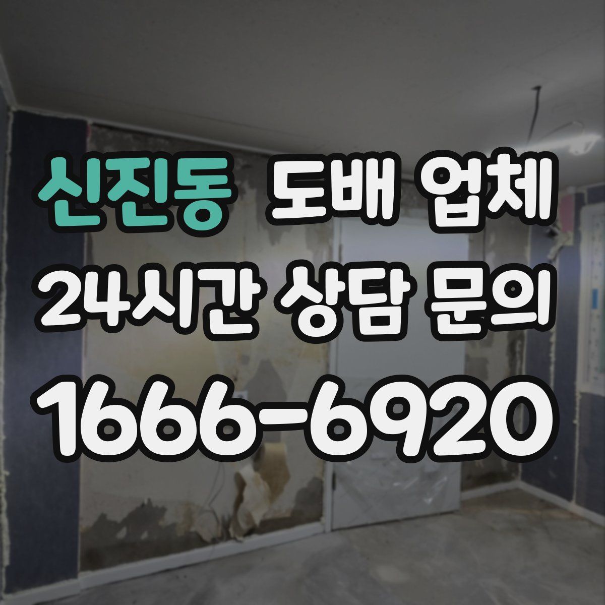 신진동 도배 업체