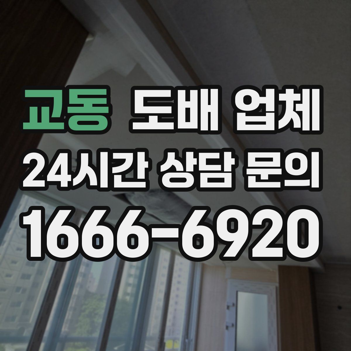 교동 도배 업체