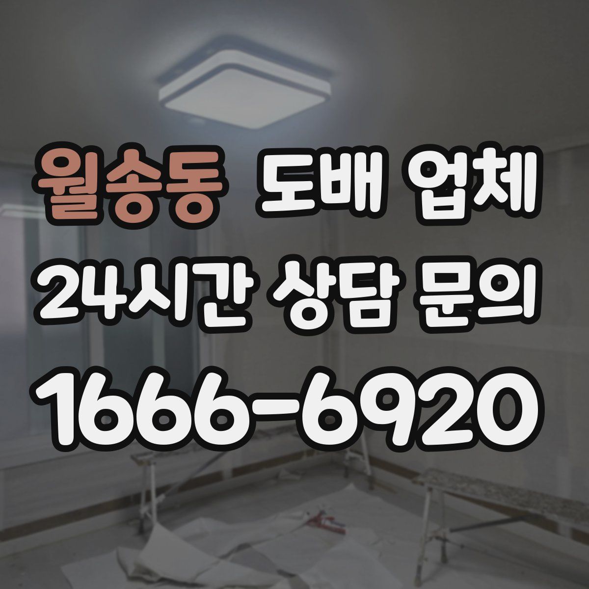 월송동 도배 업체