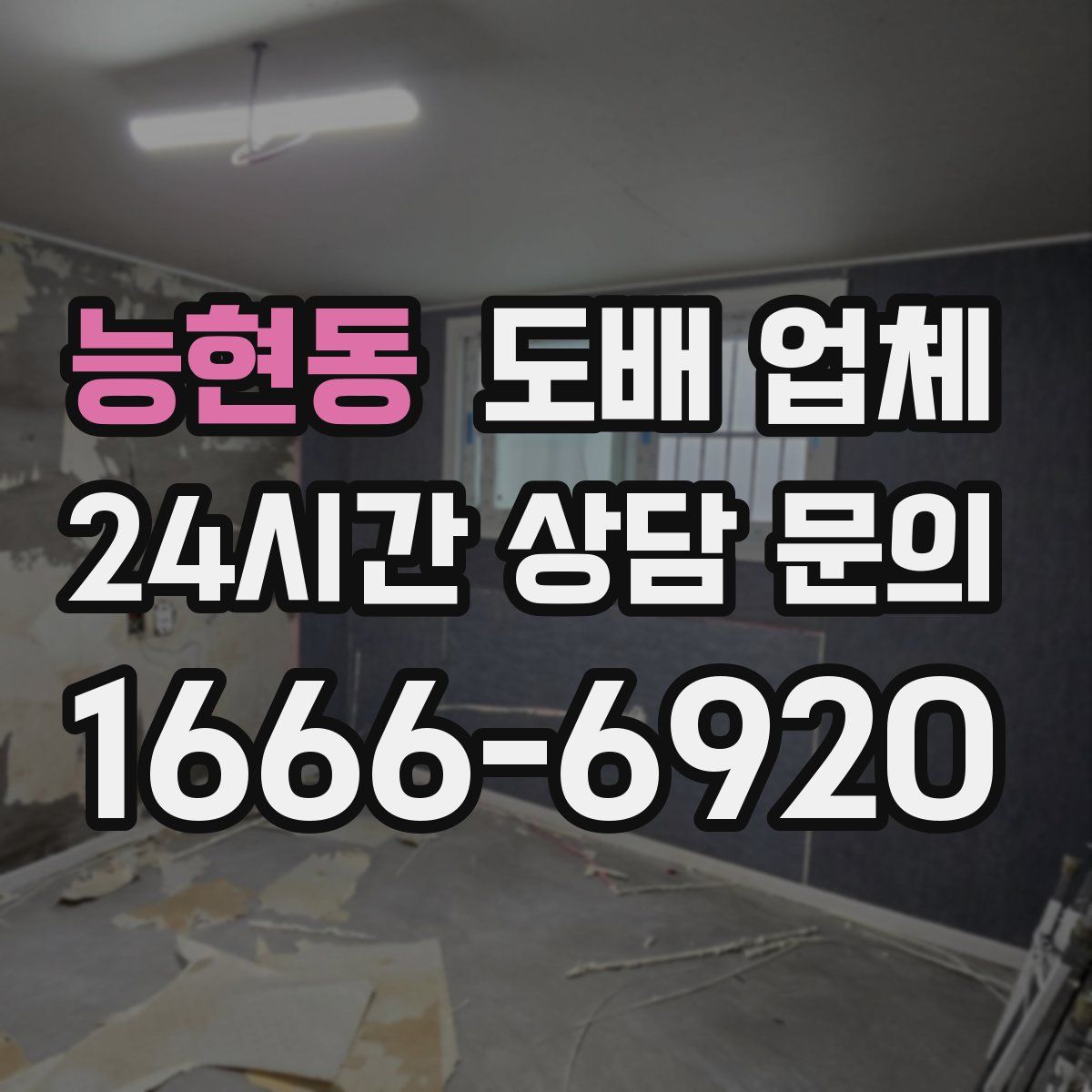 능현동 도배 업체
