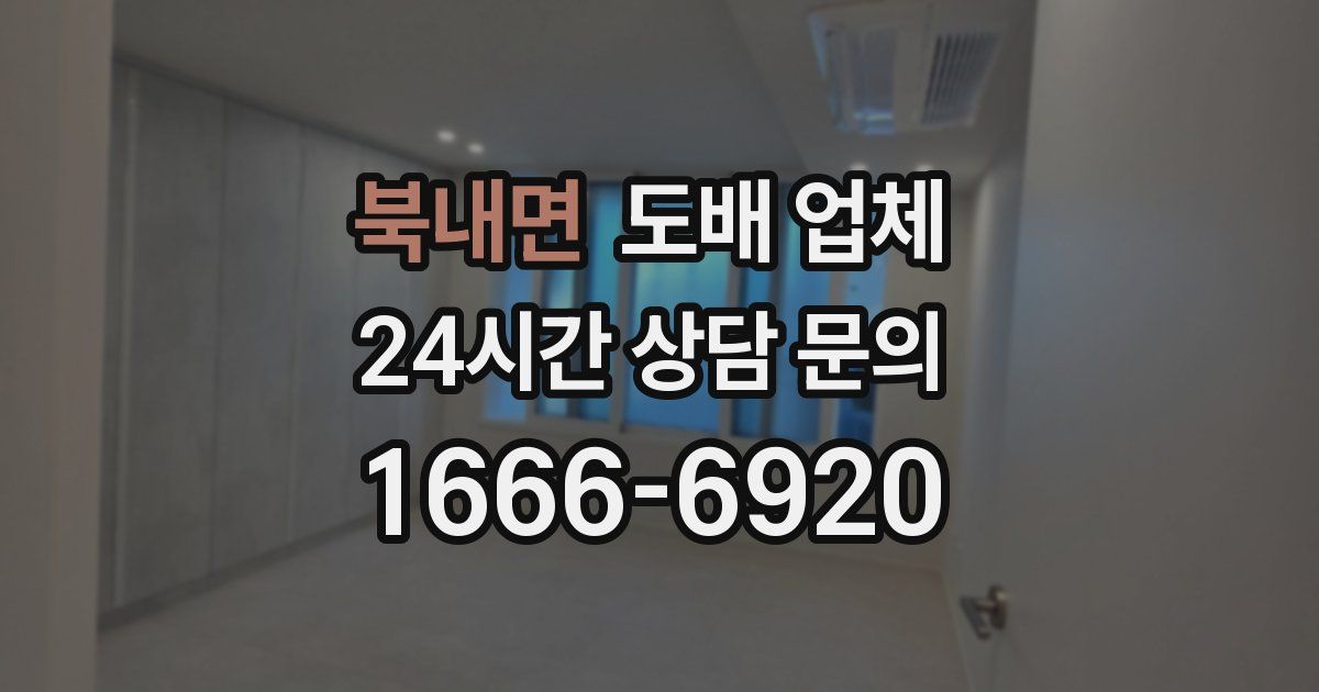 북내면 도배 업체