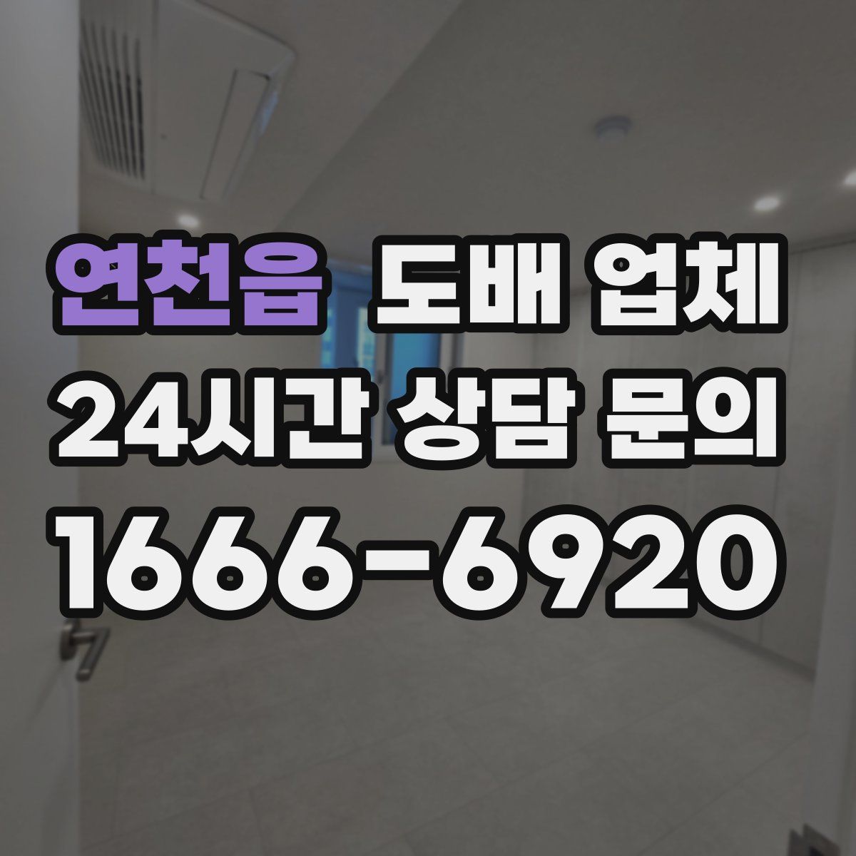 연천읍 도배 업체