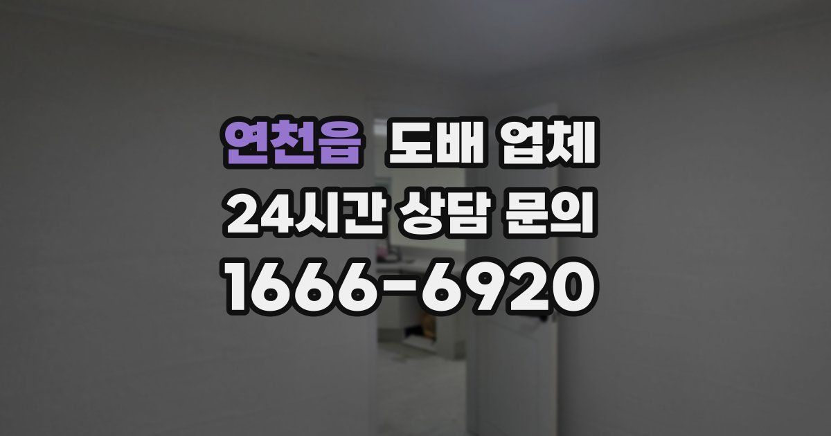 연천읍 도배 업체