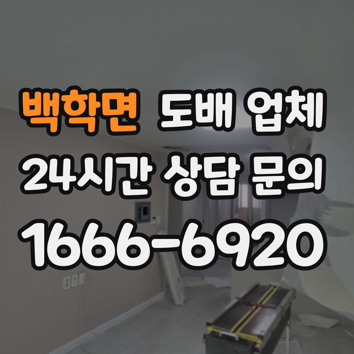 백학면 도배 업체