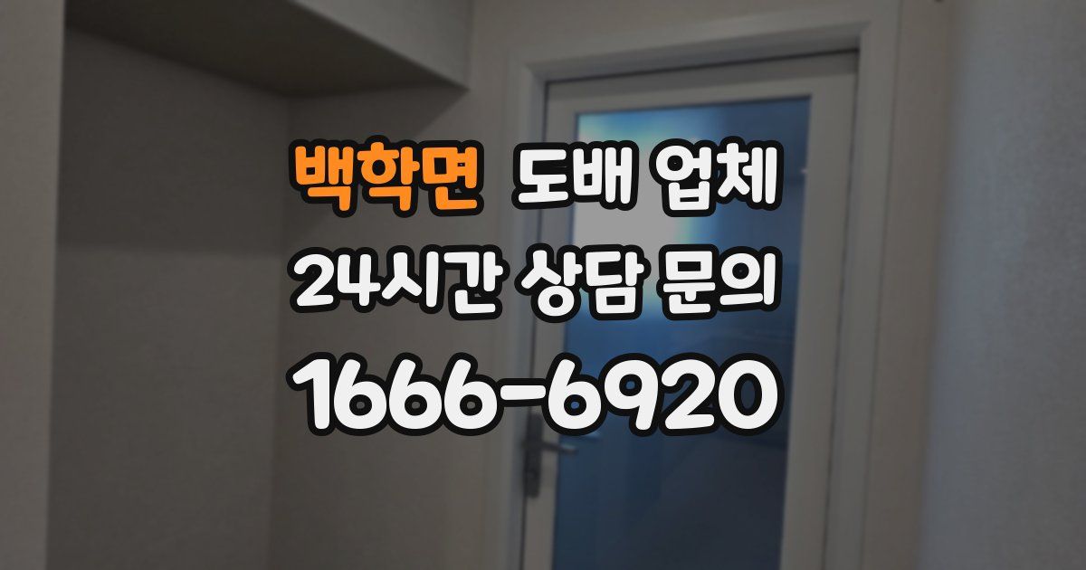 백학면 도배 업체