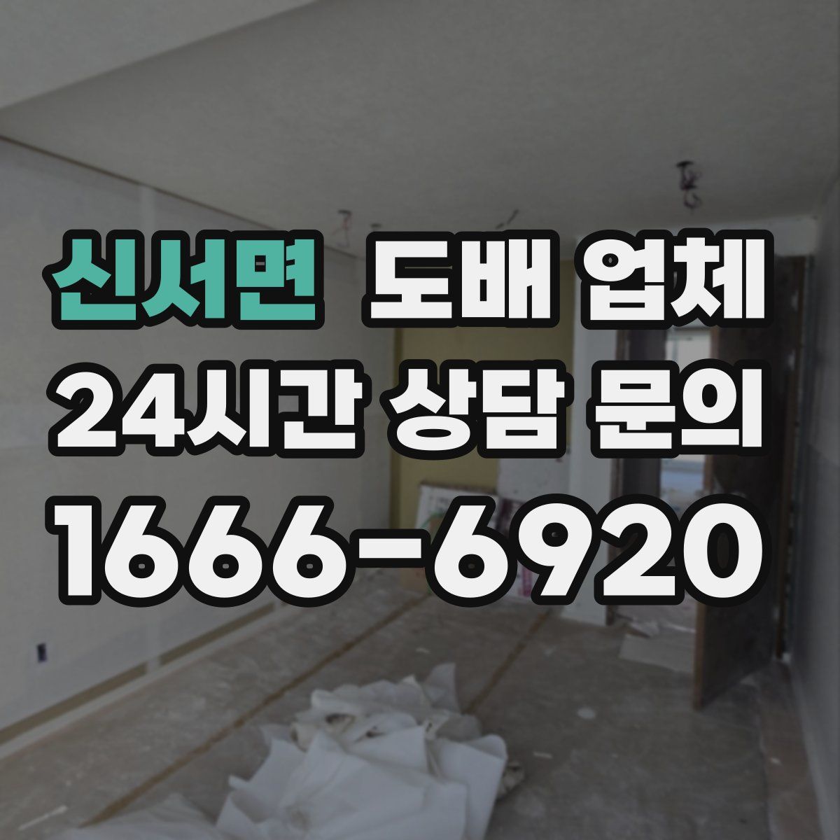 신서면 도배 업체