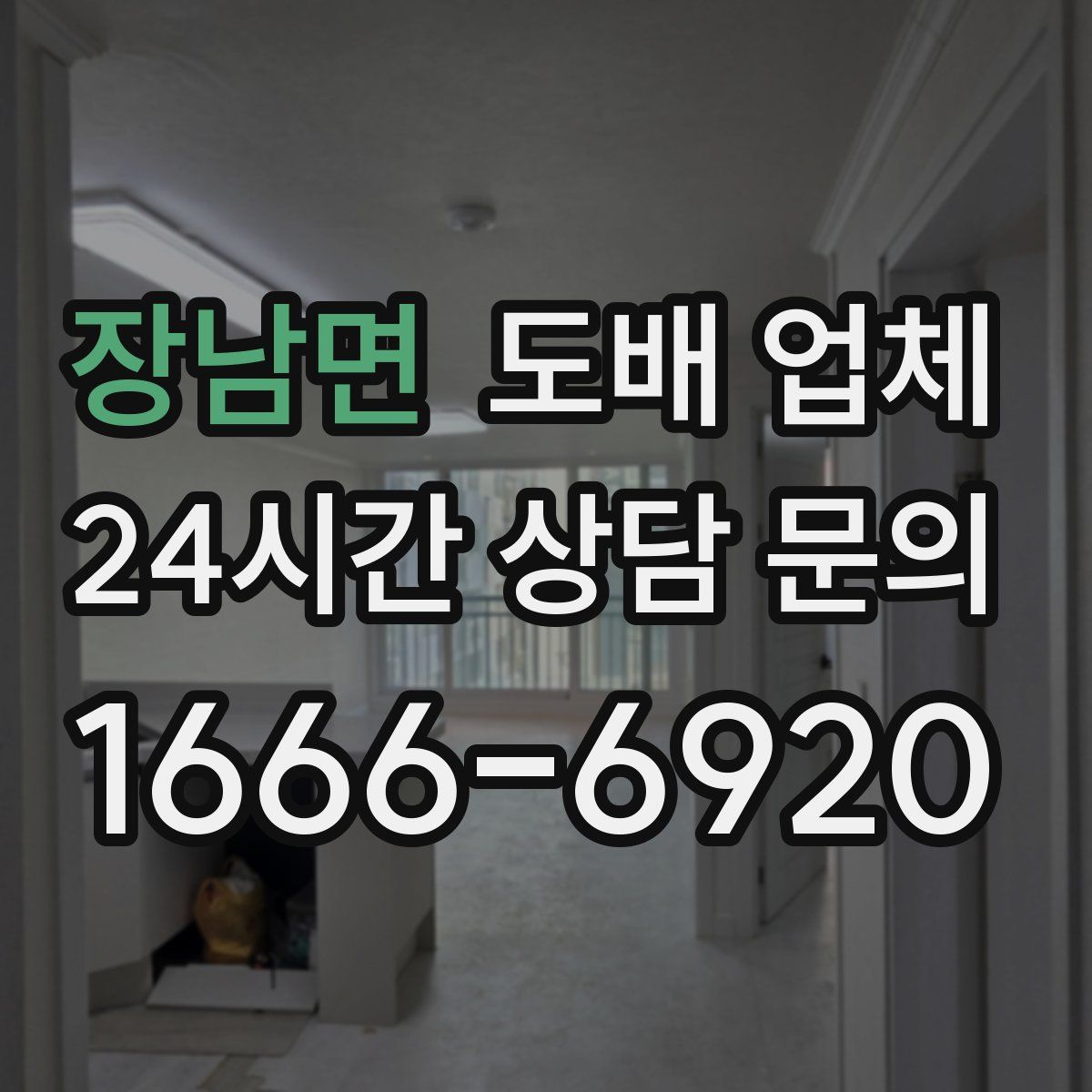 장남면 도배 업체