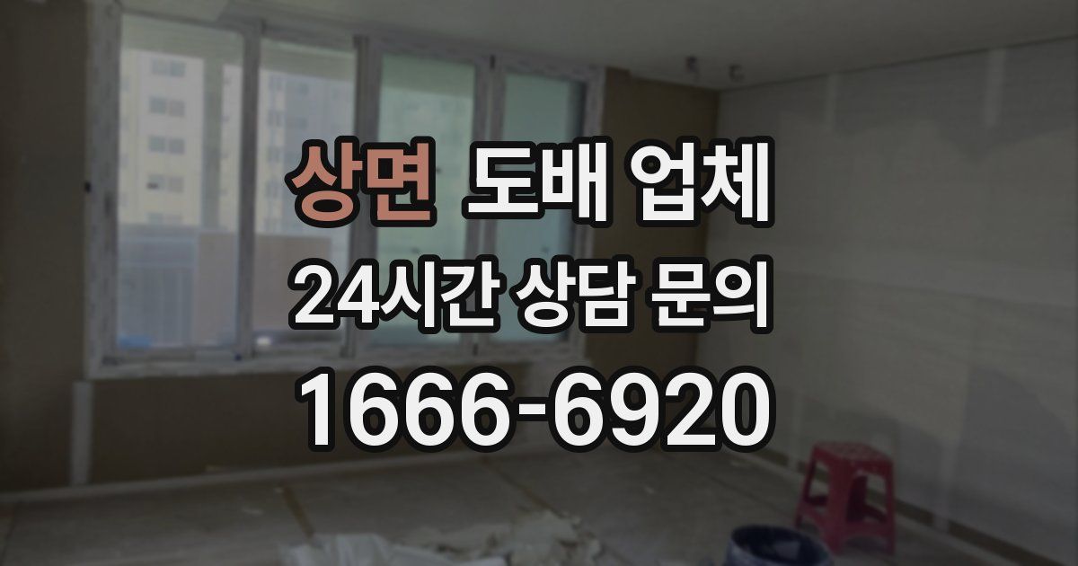 상면 도배 업체