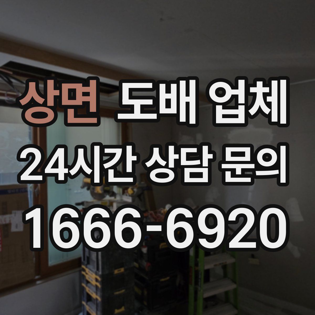 상면 도배 업체