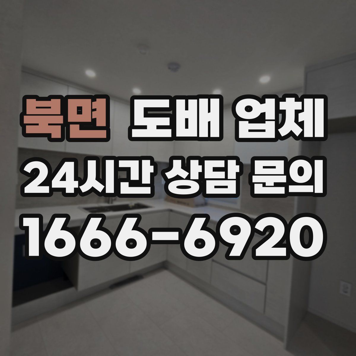 북면 도배 업체