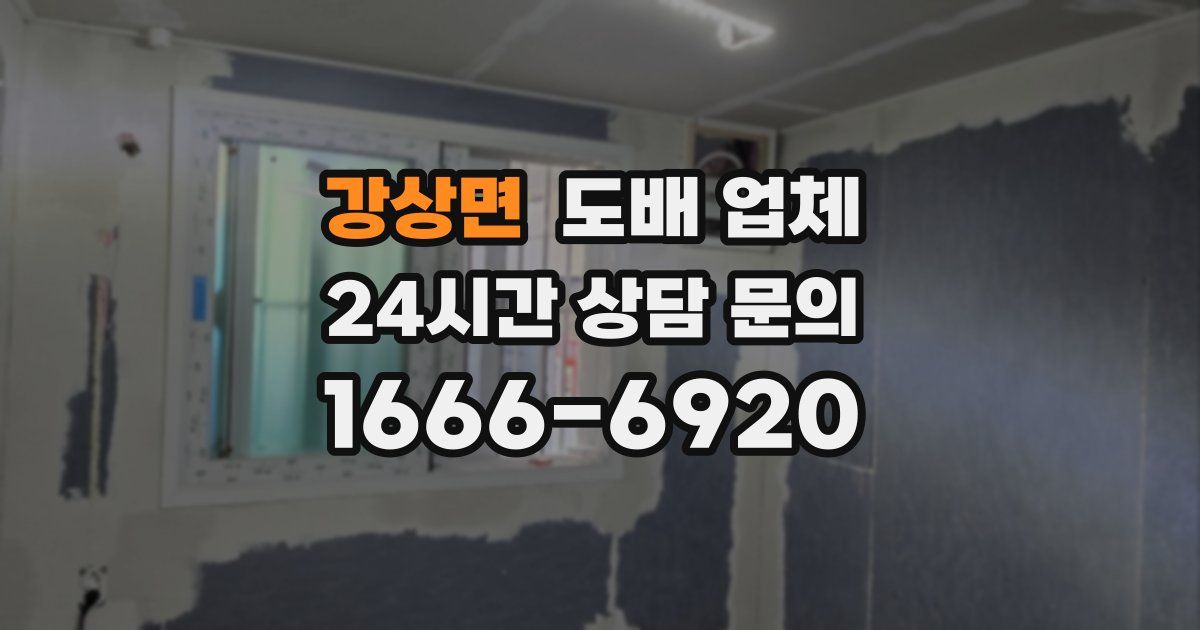 강상면 도배 업체