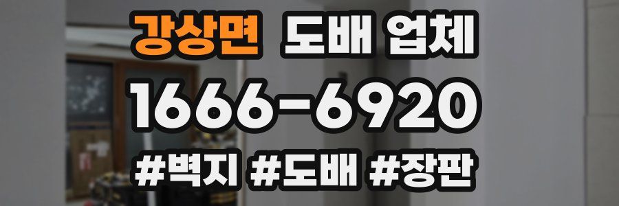 강상면 도배 업체