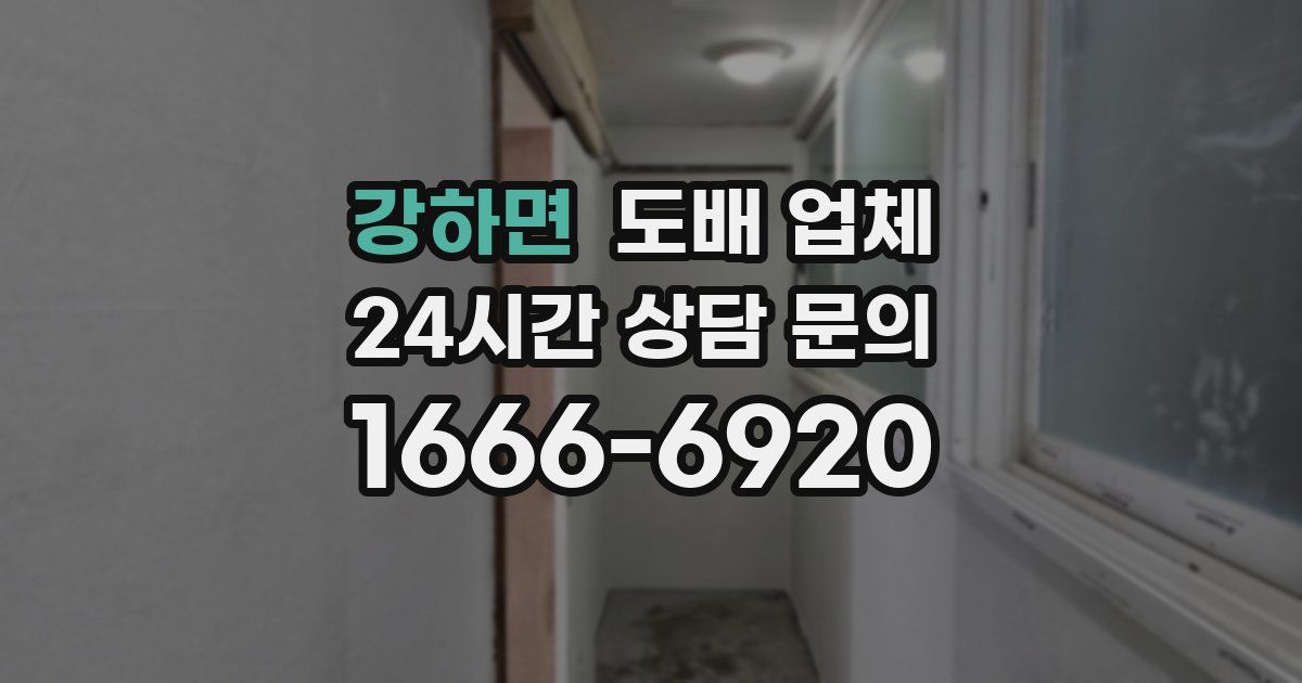 강하면 도배 업체